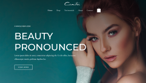 Euro Indie Music Chart Top 5 releases